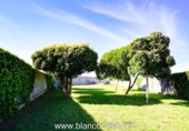 Casa de camp amb terreny en venda a la España, Malpica, ref.: TR297159 foto