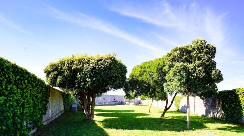 La Coruña - Malpica - 842m2