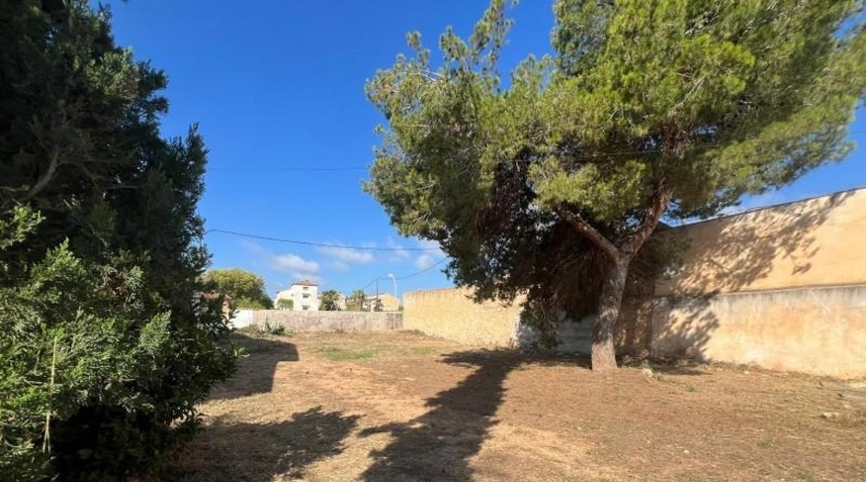 Tarragona - Alcanar - 530m2