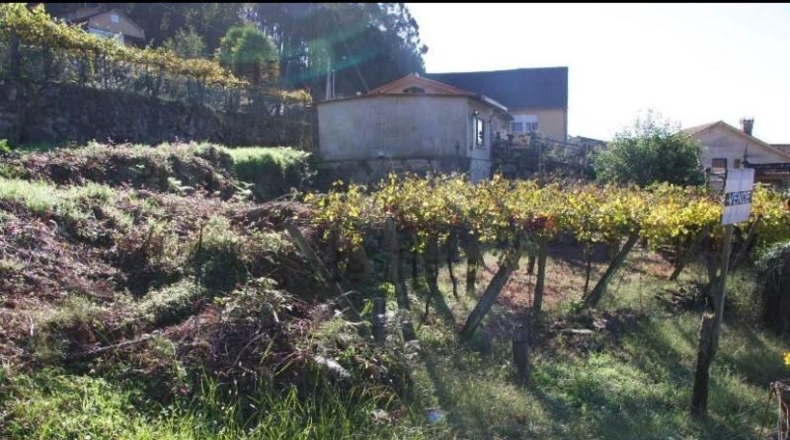 Pontevedra - Moaña - 630m2