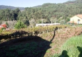 Suelo urbano en venta en la España, Moaña, ref: TR357270 foto