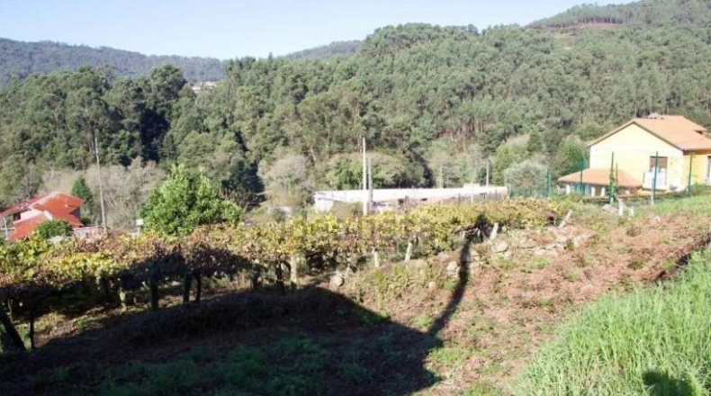 Pontevedra - Moaña - 630m2