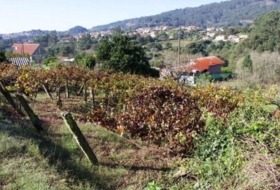 Moaña 630&nbsp;м²