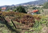Suelo urbano en venta en la España, Moaña, ref: TR357270 foto