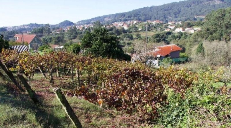 Pontevedra - Moaña - 630m2