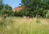 Non-developable land for sale on España, Barbadás, ref: TR219066 photo