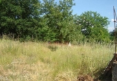 Non-developable land for sale on España, Barbadás, ref: TR219066 photo