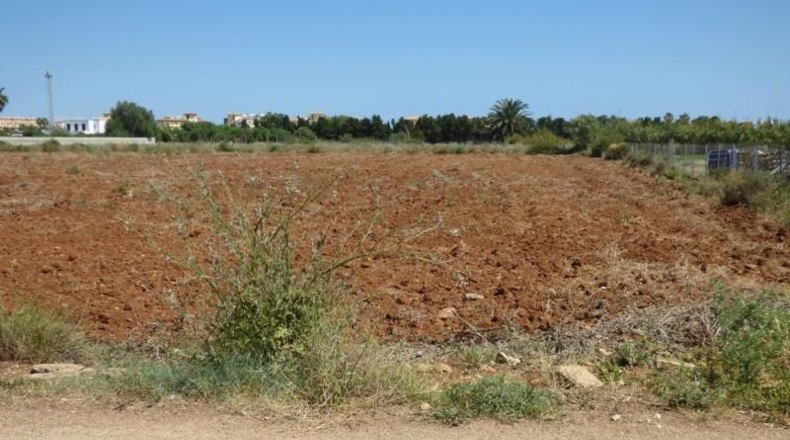 Alicante - Denia - 8575m2