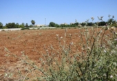 Земля на продажу у города Dénia Фото