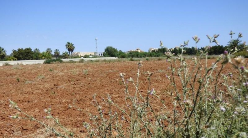 Alicante - Denia - 8575m2