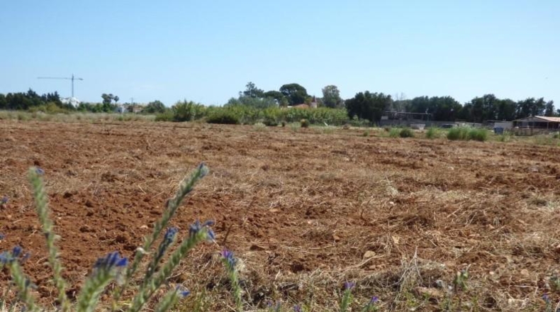 Alicante - Denia - 8575m2