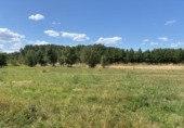 Отдельно стоящий дом с участком на продажу в городе Понферрада Фото
