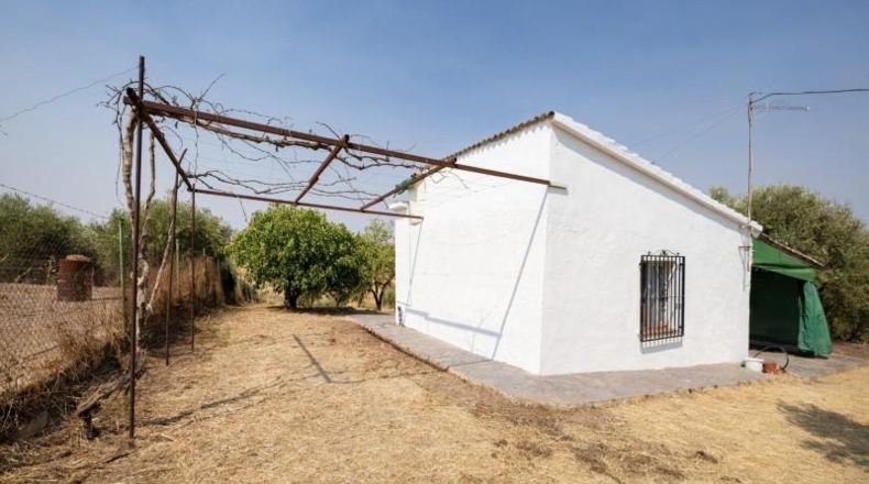 Granada - Moraleda de Zafayona - 2600m2
