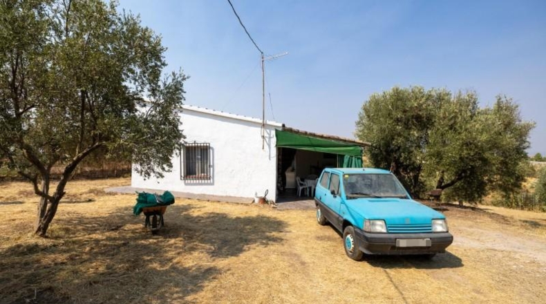 Granada - Moraleda de Zafayona - 2600m2