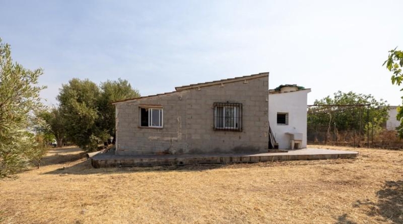 Granada - Moraleda de Zafayona - 2600m2