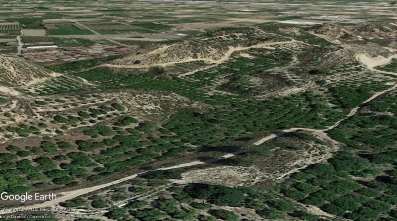 Murcia - Мурсия - 15652m2