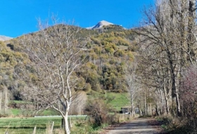 Foto 7