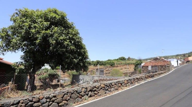 Santa Cruz de Tenerife - El Pinar - 1128m2