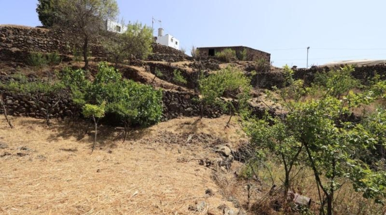 Santa Cruz de Tenerife - El Pinar - 1128m2