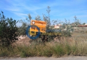 Sòl urbà en venda a la España, Lorca, ref.: TR340462 foto
