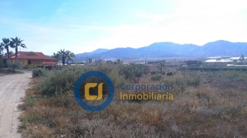 Murcia - Lorca - 2850m2