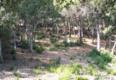 Sòl urbà en venda a la España, Lloret de Mar, ref.: TR117369 foto