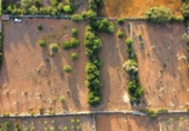 Non-developable land for sale on España, Santa Margalida, ref: TR255863 photo