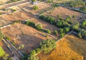 Non-developable land for sale on España, Santa Margalida, ref: TR255863 photo