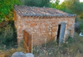 Non-developable land for sale on España, Santa Margalida, ref: TR255863 photo