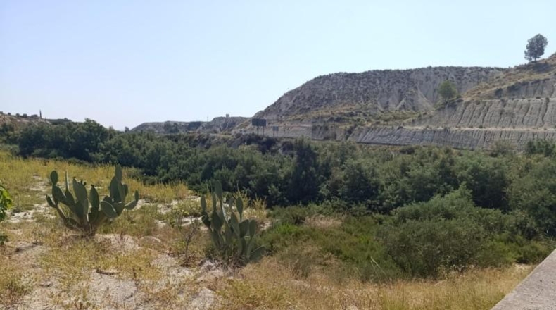Murcia - Albudeite - 42586m2