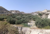 Terreno no urbanizable en venta en la España, Albudeite, ref: TR320775 foto