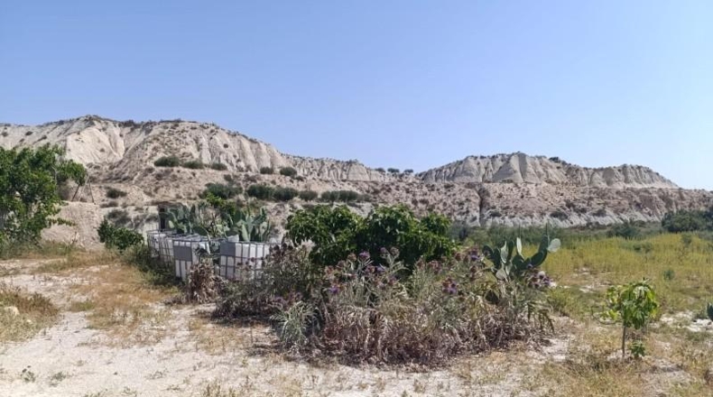 Murcia - Albudeite - 42586m2
