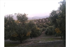 Lucena 28000&nbsp;m²