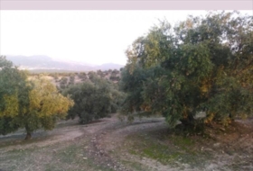 Lucena 28000&nbsp;m²