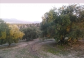 Terreno no urbanizable en venta en la España, Lucena, ref: TR194569 foto