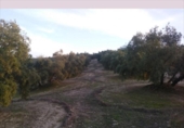 Terreno no urbanizable en venta en la España, Lucena, ref: TR194569 foto