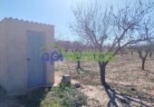 Terreno no urbanizable en venta en la España, Lorca, ref: TR310566 foto