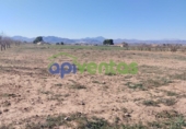 Terreno no urbanizable en venta en la España, Lorca, ref: TR310566 foto