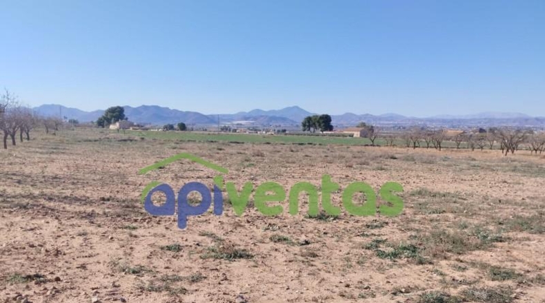 Múrcia - Lorca - 11003m2