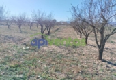 Terreno no urbanizable en venta en la España, Lorca, ref: TR310566 foto