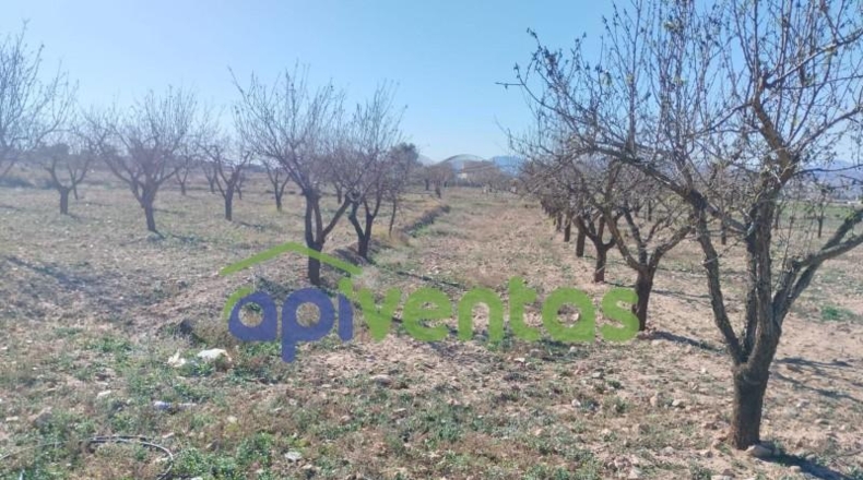 Múrcia - Lorca - 11003m2