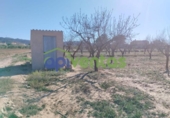 Terreno no urbanizable en venta en la España, Lorca, ref: TR310566 foto