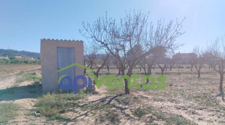 Múrcia - Lorca - 11003m2