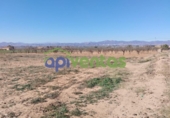 Terreno no urbanizable en venta en la España, Lorca, ref: TR310566 foto