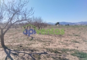 Terreno no urbanizable en venta en la España, Lorca, ref: TR310566 foto