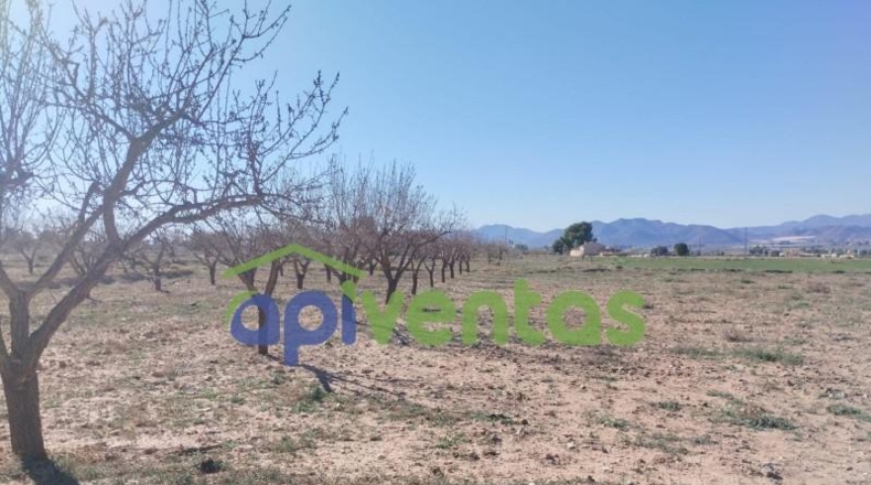 Múrcia - Lorca - 11003m2