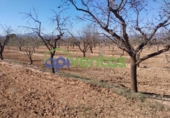Terreno no urbanizable en venta en la España, Lorca, ref: TR310566 foto