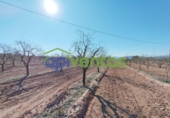 Terreno no urbanizable en venta en la España, Lorca, ref: TR310566 foto