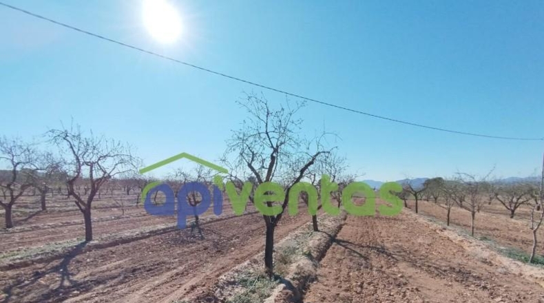 Múrcia - Lorca - 11003m2