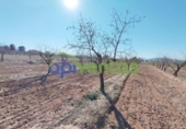 Terreno no urbanizable en venta en la España, Lorca, ref: TR310566 foto